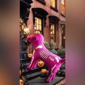 Happy Spooky Season 🎃👻